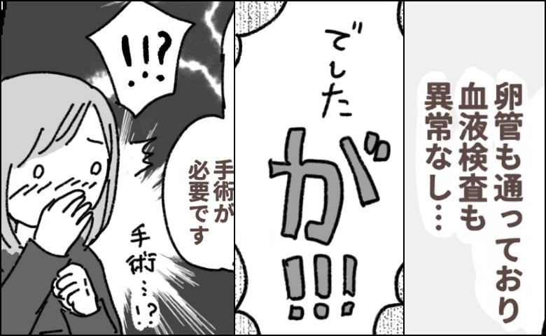 夫婦で不妊検査へ→医師「複数あります。手術が必要です」…え？エコーで見つかったものは
