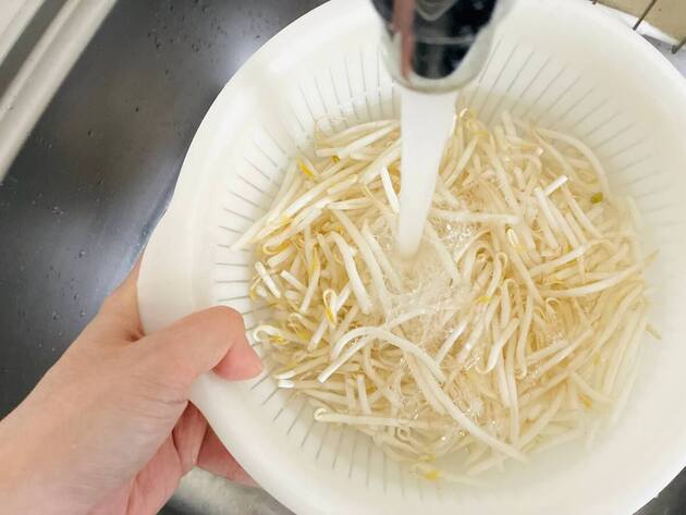 今日はナムルにするのやめる！【1袋29円のもやし】があっという間になくなる「最強に美味い食べ方」シャキシャキでたっぷり大満足！