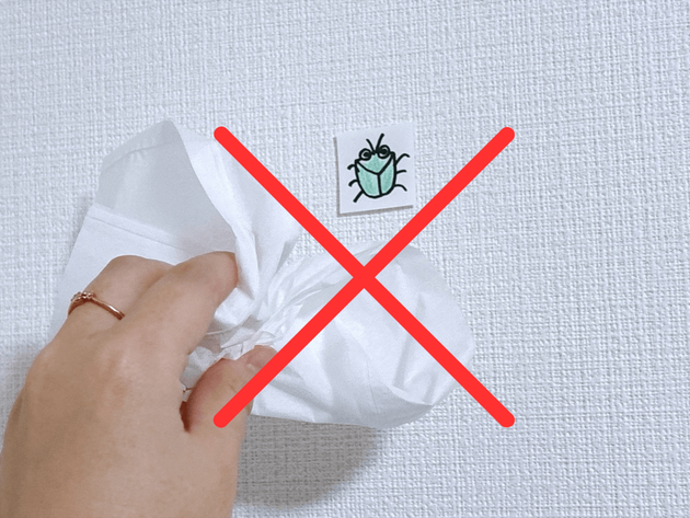 やってたらすぐやめてーー！【カメムシ】ティッシュは絶対NG！虫嫌い直伝「手で触らずに外に逃す方法」決定版「天才」「ふたになるから」簡単捕獲