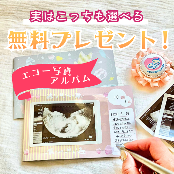 エコー写真アルバム