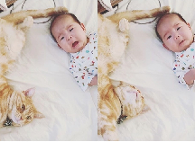 身長ほぼ同じやん ロンドンで暮らす赤ちゃんと猫たちが癒し効果絶大 ベビーカレンダーのベビーニュース