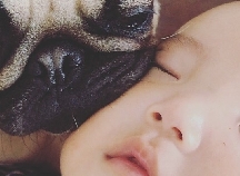 身長ほぼ同じやん ロンドンで暮らす赤ちゃんと猫たちが癒し効果絶大 ベビーカレンダーのベビーニュース