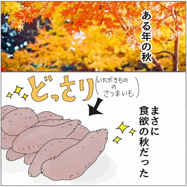 五十路日和／おーちゃん