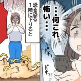 「バタン」テレワーク中に突然の物音。慌てて1階に駆け下りた私が見た愛犬の姿は