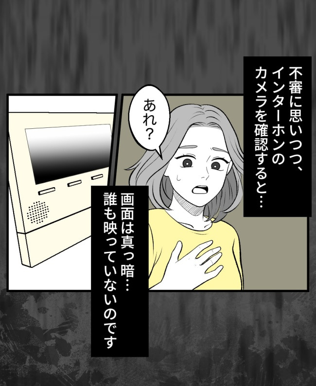 恐怖の訪問者／ほや助