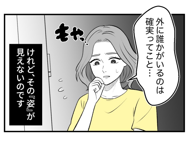 恐怖の訪問者／ほや助