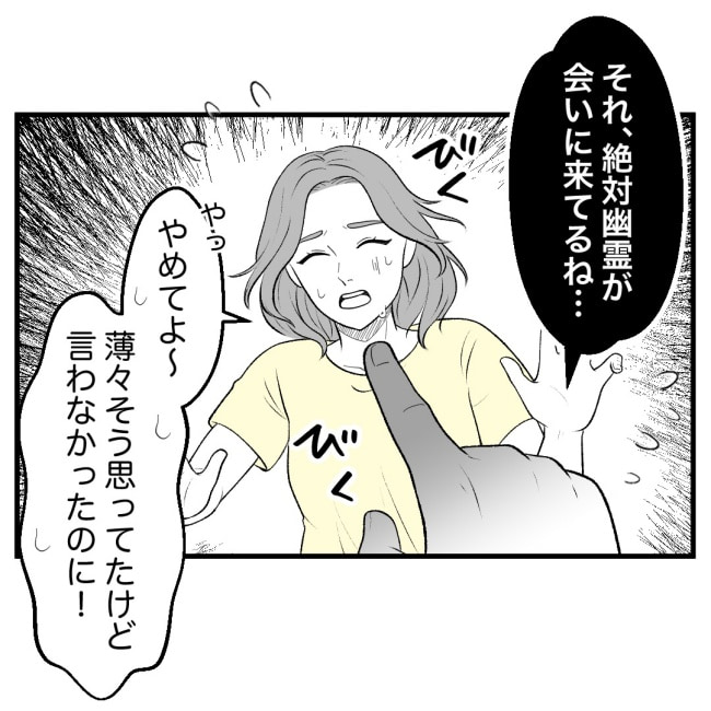 恐怖の訪問者／ほや助