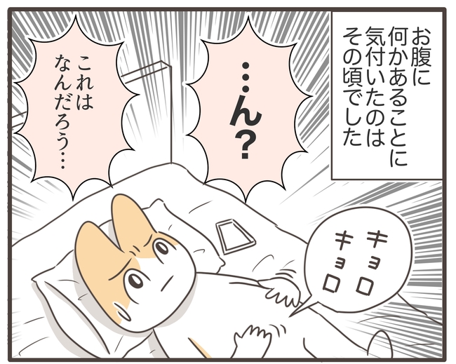 アラフィフが子宮全摘/宮島もっちー