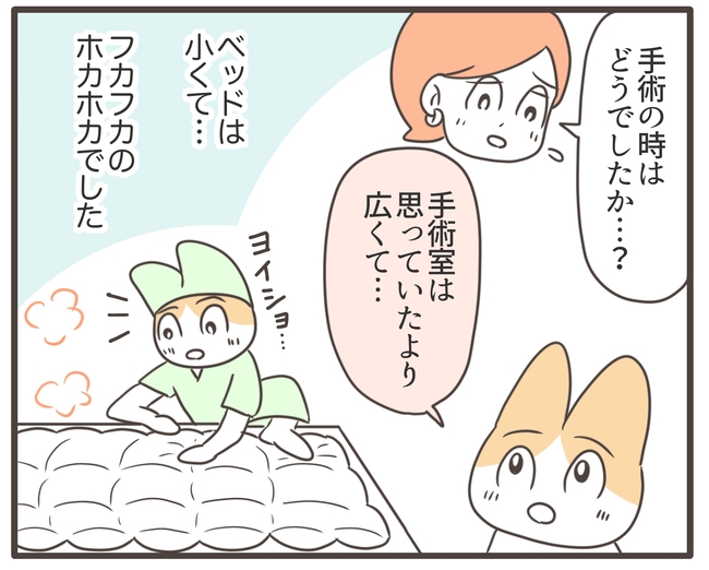 アラフィフが子宮全摘／宮島もっちー