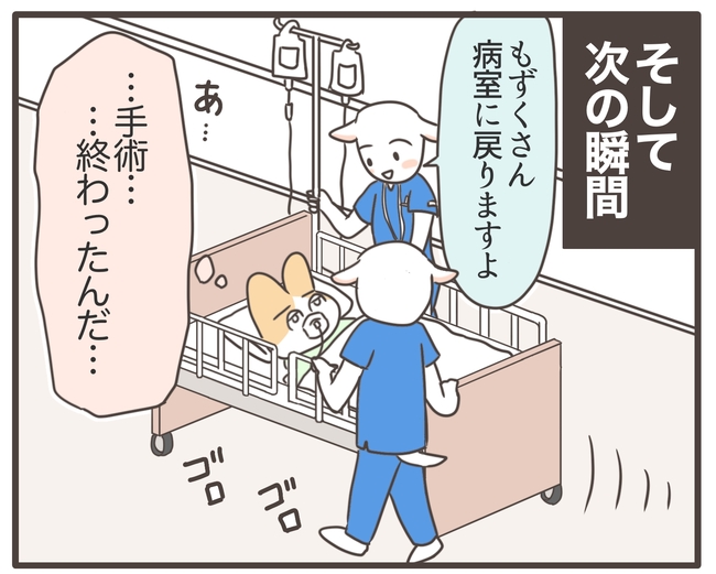 アラフィフが子宮全摘／宮島もっちー