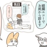 性交未経験者への配慮で内診は経腸エコー。安心したのもつかの間、術後に #アラフィフが子宮全摘 4