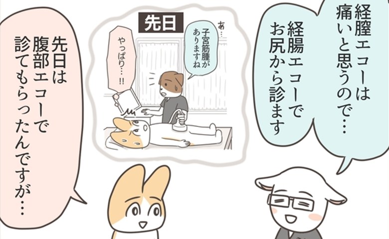 アラフィフが子宮全摘／宮島もっちー