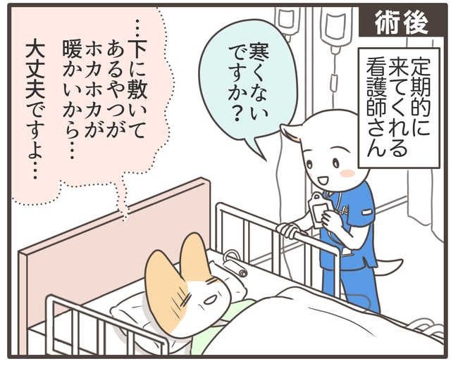 アラフィフが子宮全摘/宮島もっちー