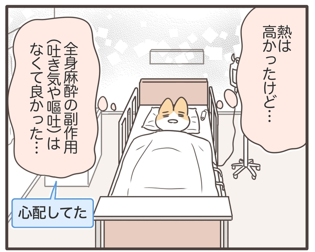 アラフィフが子宮全摘/宮島もっちー