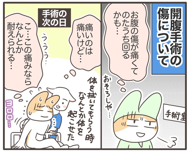 アラフィフが子宮全摘/宮島もっちー