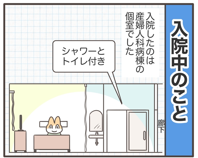 アラフィフが子宮全摘/宮島もっちー