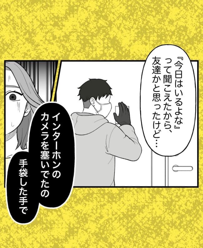 恐怖の訪問者／ほや助