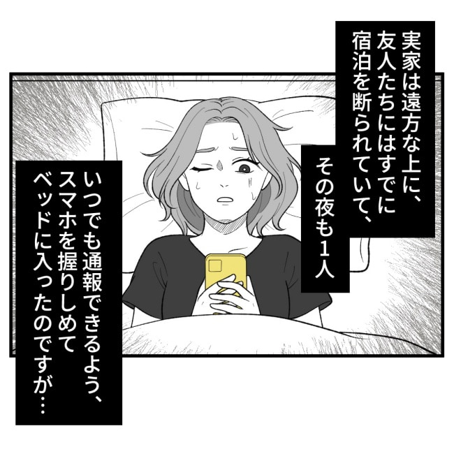 恐怖の訪問者／ほや助