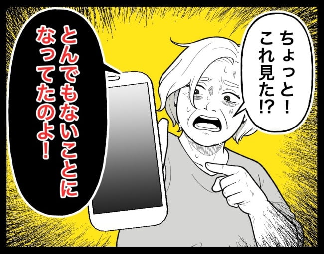 恐怖の訪問者／ほや助