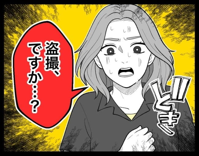 恐怖の訪問者／ほや助