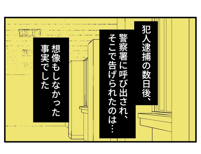 恐怖の訪問者／ほや助