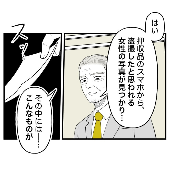 恐怖の訪問者／ほや助