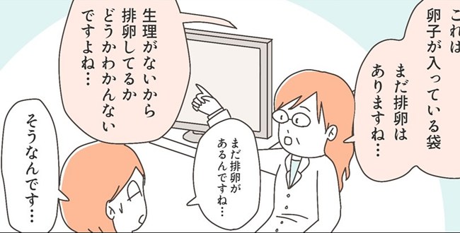 子宮全摘後のリアル／宮島もっちー