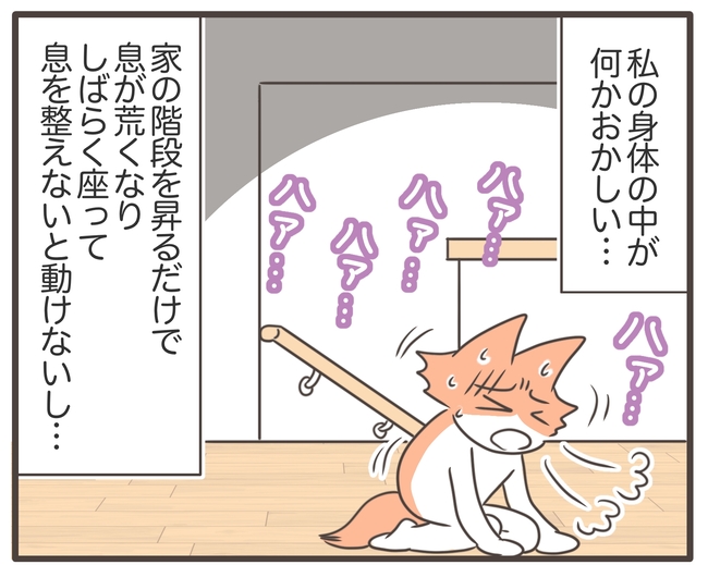 貧血放置で子宮筋腫手術／宮島もっちー