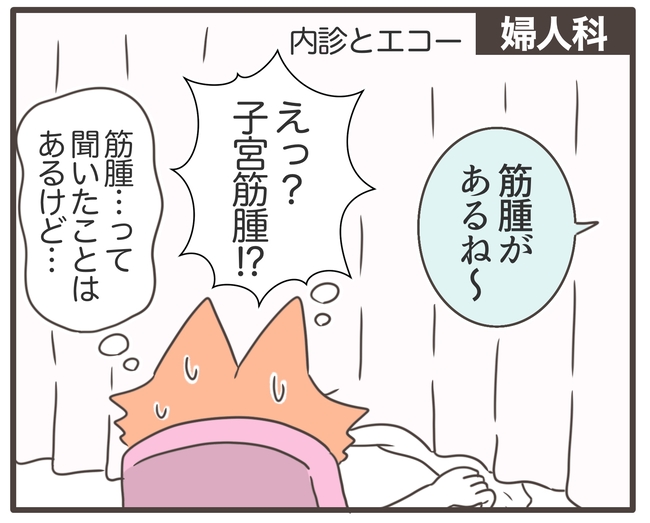 貧血放置で子宮筋腫手術／宮島もっちー