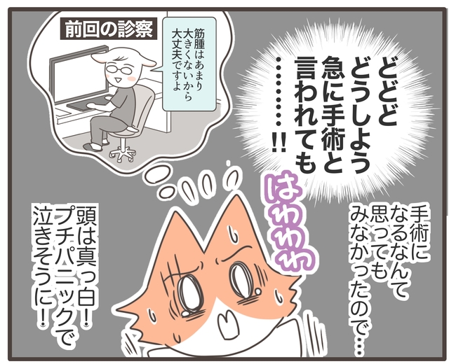 貧血放置で子宮筋腫手術／宮島もっちー