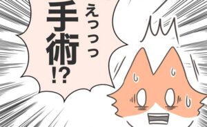 子宮筋腫手術／宮島もっちー