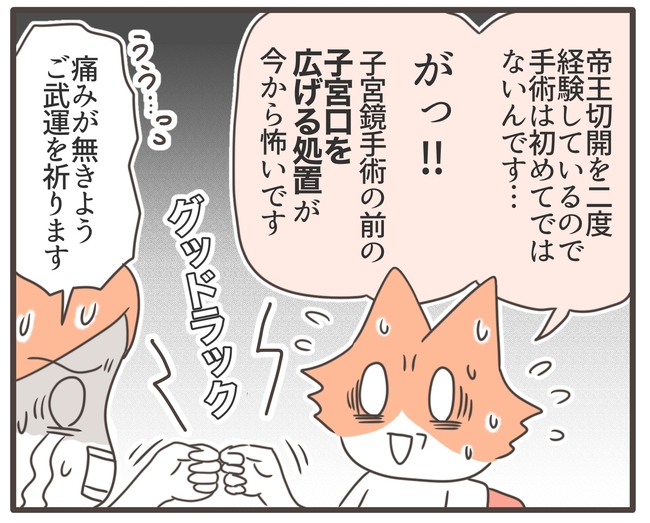 貧血放置で子宮筋腫手術／宮島もっちー