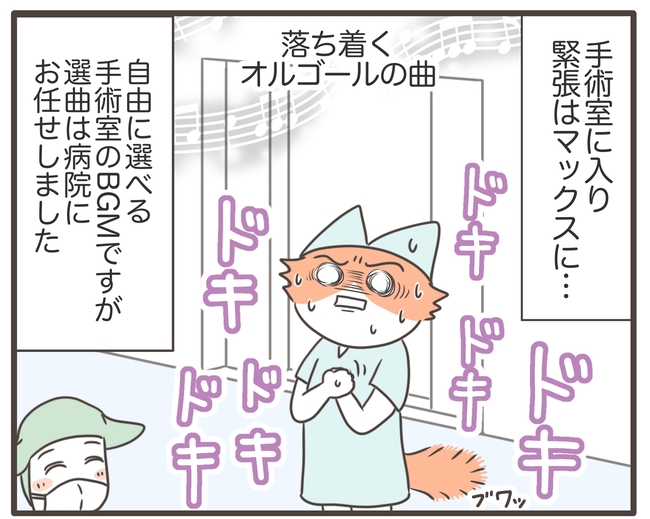 貧血放置で子宮筋腫手術／宮島もっちー