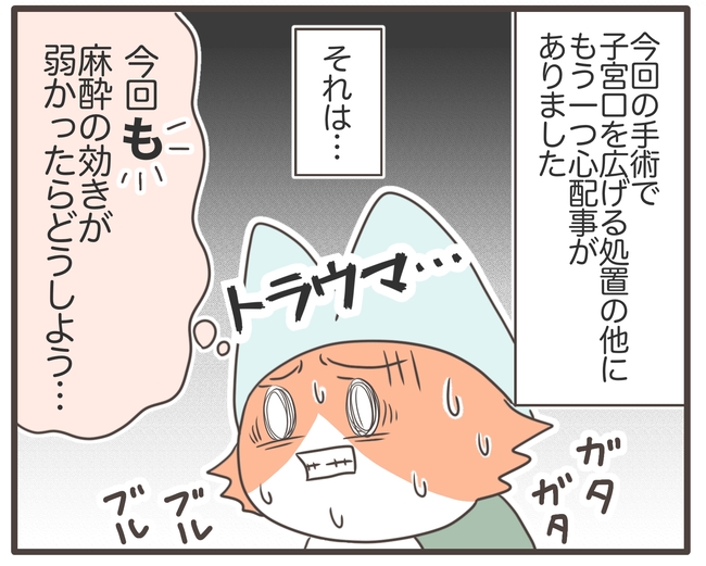 貧血放置で子宮筋腫手術／宮島もっちー