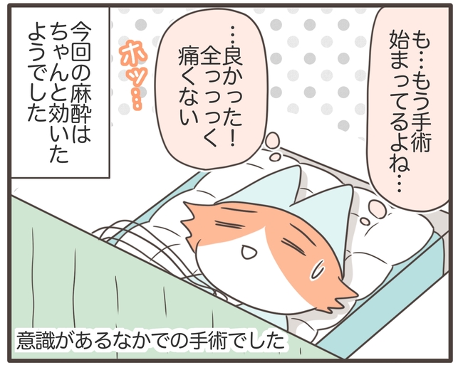 貧血放置で子宮筋腫手術／宮島もっちー