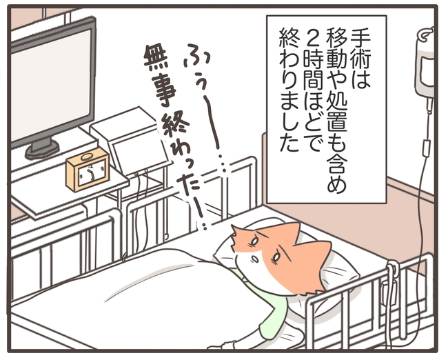 貧血放置で子宮筋腫手術／宮島もっちー