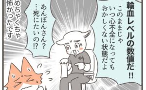 貧血から見つかった子宮筋腫／宮島もっちー