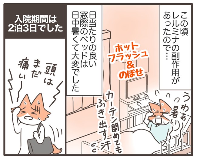 貧血放置で子宮筋腫手術／宮島もっちー