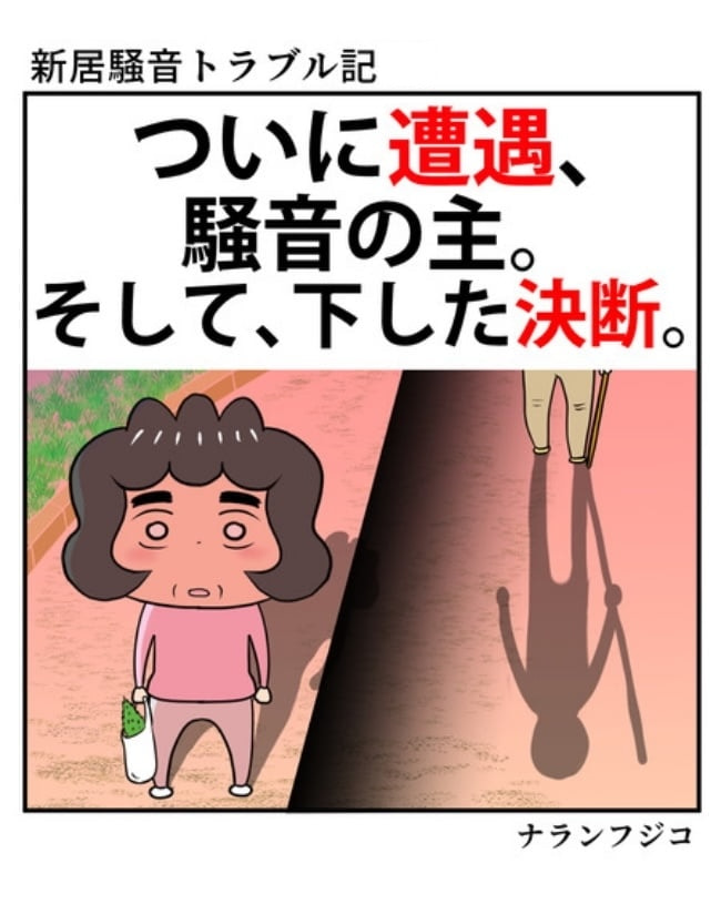 新居騒音トラブル／ナランフジコ