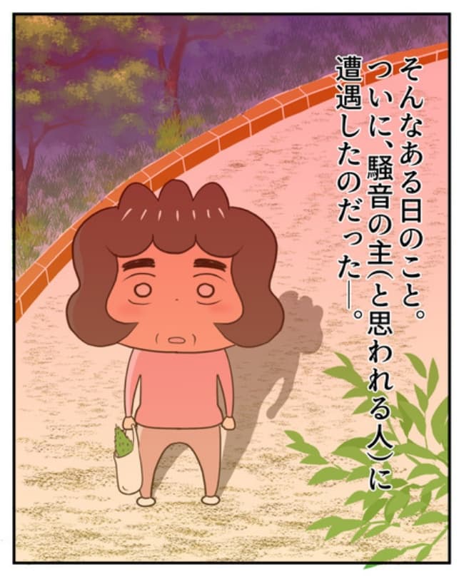 新居騒音トラブル／ナランフジコ