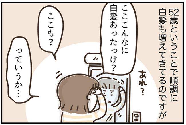 アラフィフの日常／フカザワナオコ