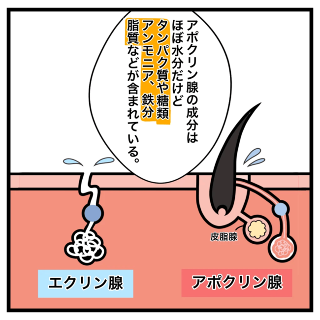 ワキガ治療で搬送された話／すがのみさき