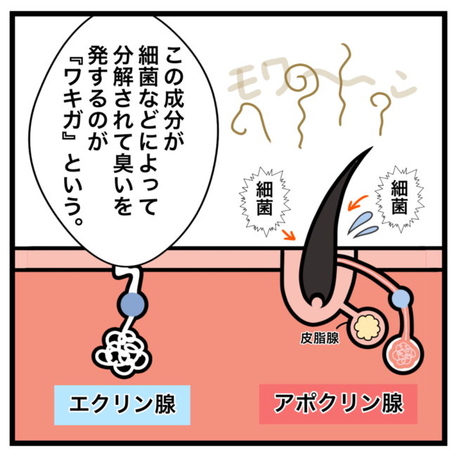 ワキガ治療で搬送された話／すがのみさき