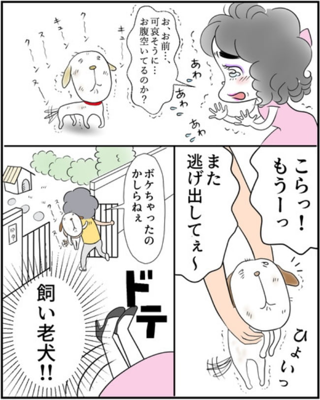 理想じゃない人を好きになった話/ナランフジコ