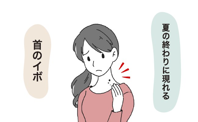 イボ　イメージカット