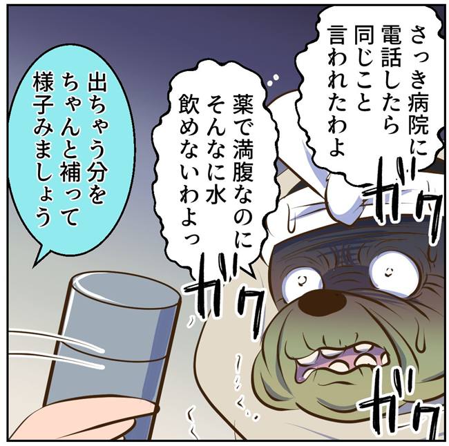 お義母さまと踊ろう／おたまるこ