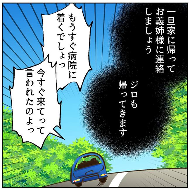 お義母さまと踊ろう／おたまるこ