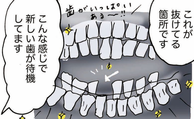 四十路ぐらし／村澤綾香